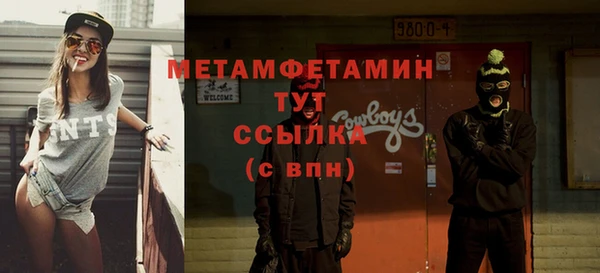 прущие грибы Осинники
