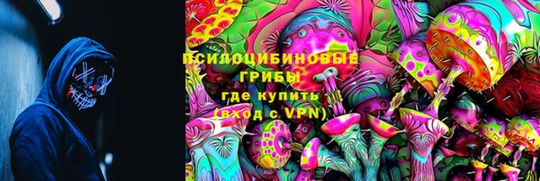 прущие грибы Осинники