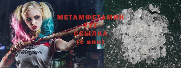 прущие грибы Осинники