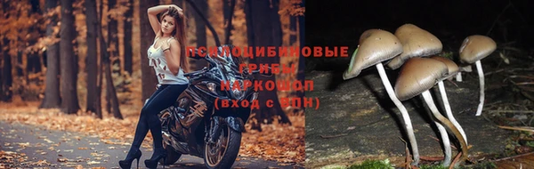 кокаин колумбия Осташков