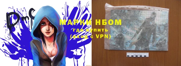 прущие грибы Осинники