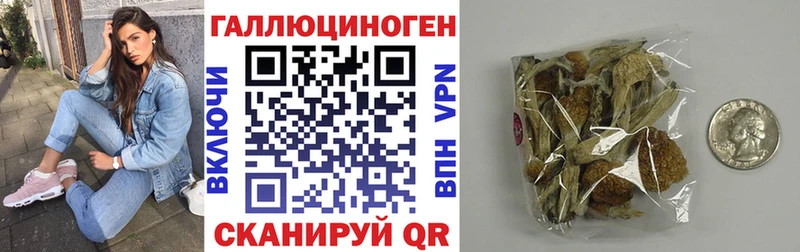 Галлюциногенные грибы мухоморы  МЕГА рабочий сайт  Фокино  наркотики 
